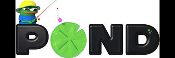 Pond Coin Header Image