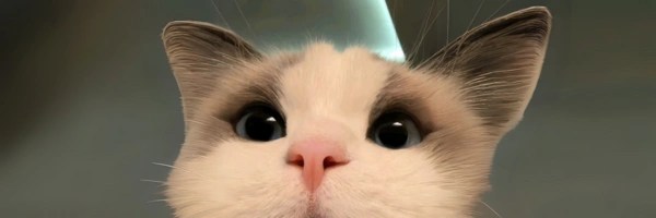 cat Header Image