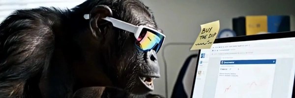 Toli The Trencher Header Image