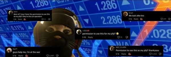 catwifmask Header Image
