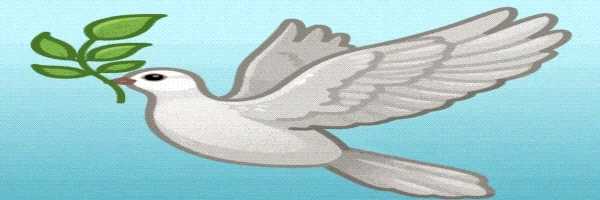 Only Peace Header Image