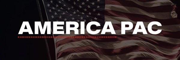 ELON&#039;S POLITICAL PARTY Header Image
