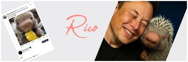 Rico Header Image